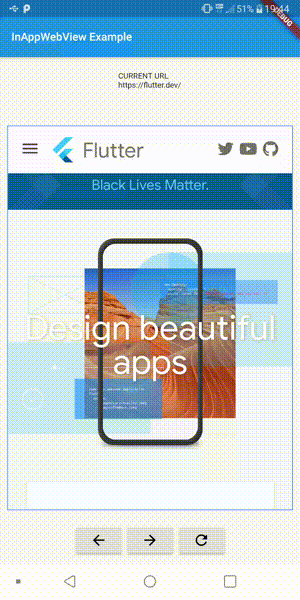InAppWebView example