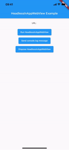 iOS headless webview basic usage