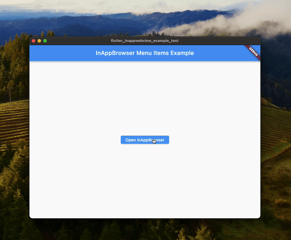 InAppBrowser MacOS menu items